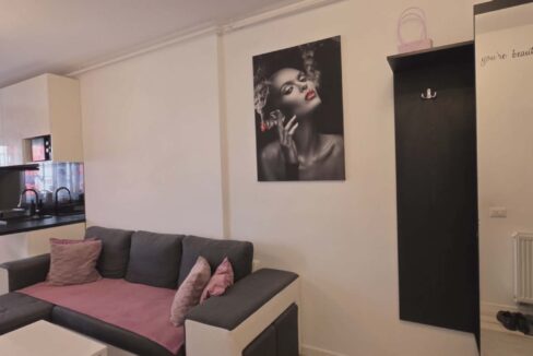 AP1489-Ap 2 cam de vanzare str T Vladimirescu Ared-08