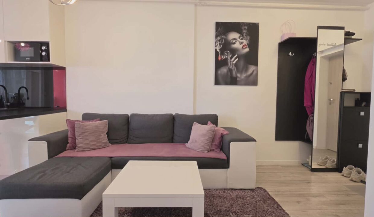 AP1489-Ap 2 cam de vanzare str T Vladimirescu Ared-09