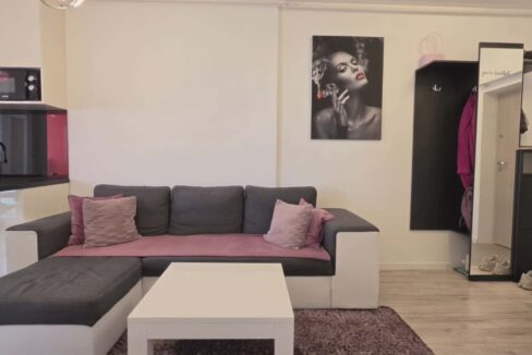 AP1489-Ap 2 cam de vanzare str T Vladimirescu Ared-09