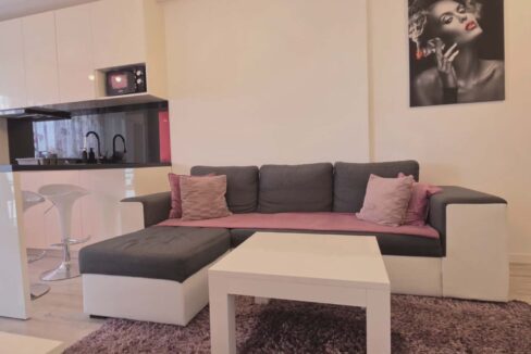 AP1489-Ap 2 cam de vanzare str T Vladimirescu Ared-10