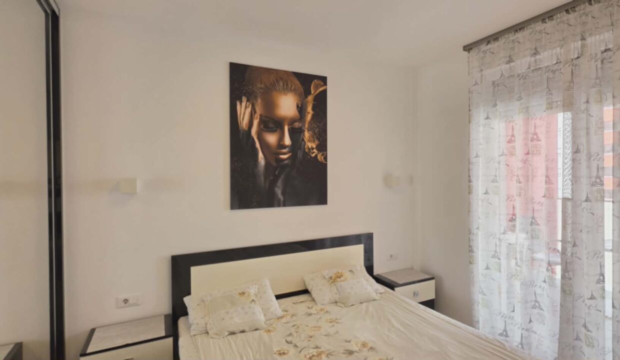 AP1489-Ap 2 cam de vanzare str T Vladimirescu Ared-25