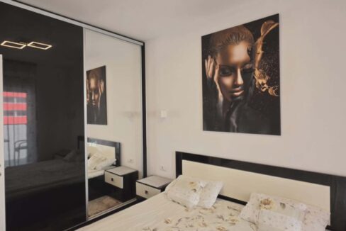 AP1489-Ap 2 cam de vanzare str T Vladimirescu Ared-29