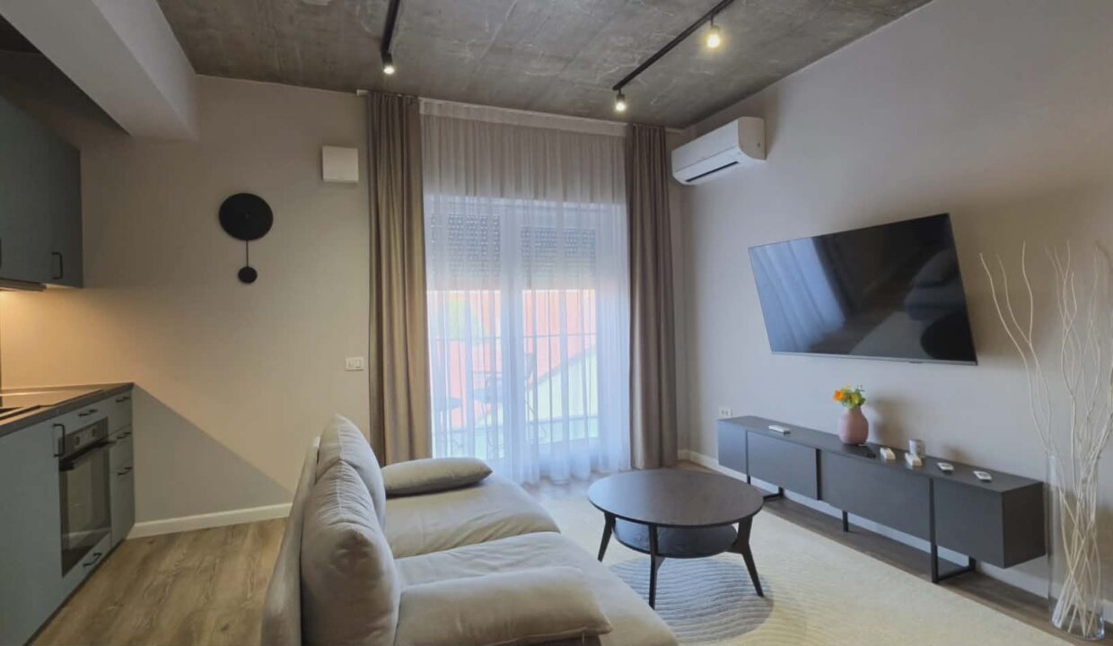 AP1493-Eas Residence str Clujului ap 12 et 2 de inchiriat-03