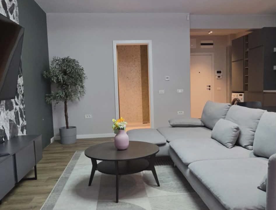 AP1494-Ap 8 et 2 Eas str Clujului de inchiriat-08