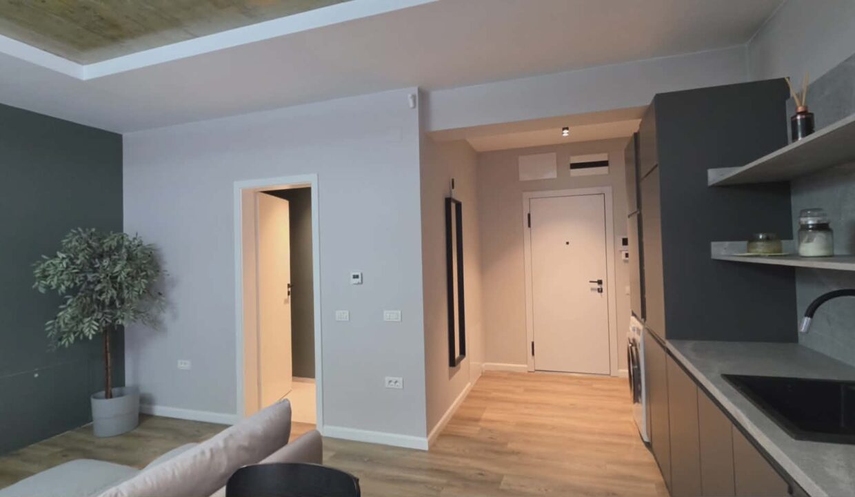 AP1494-Ap 8 et 2 Eas str Clujului de inchiriat-19