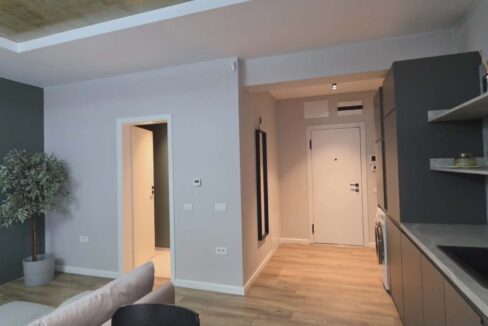 AP1494-Ap 8 et 2 Eas str Clujului de inchiriat-19