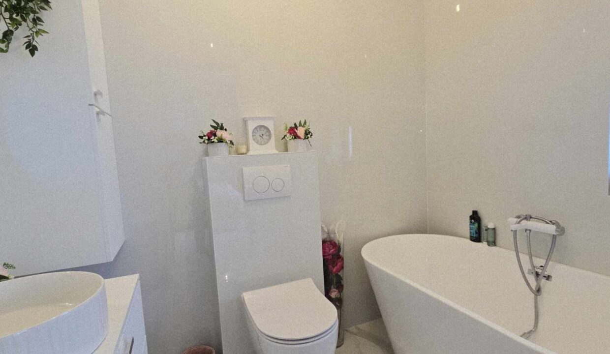 CV0506-Casa noua pe nivel de vanzare, Santandrei-52