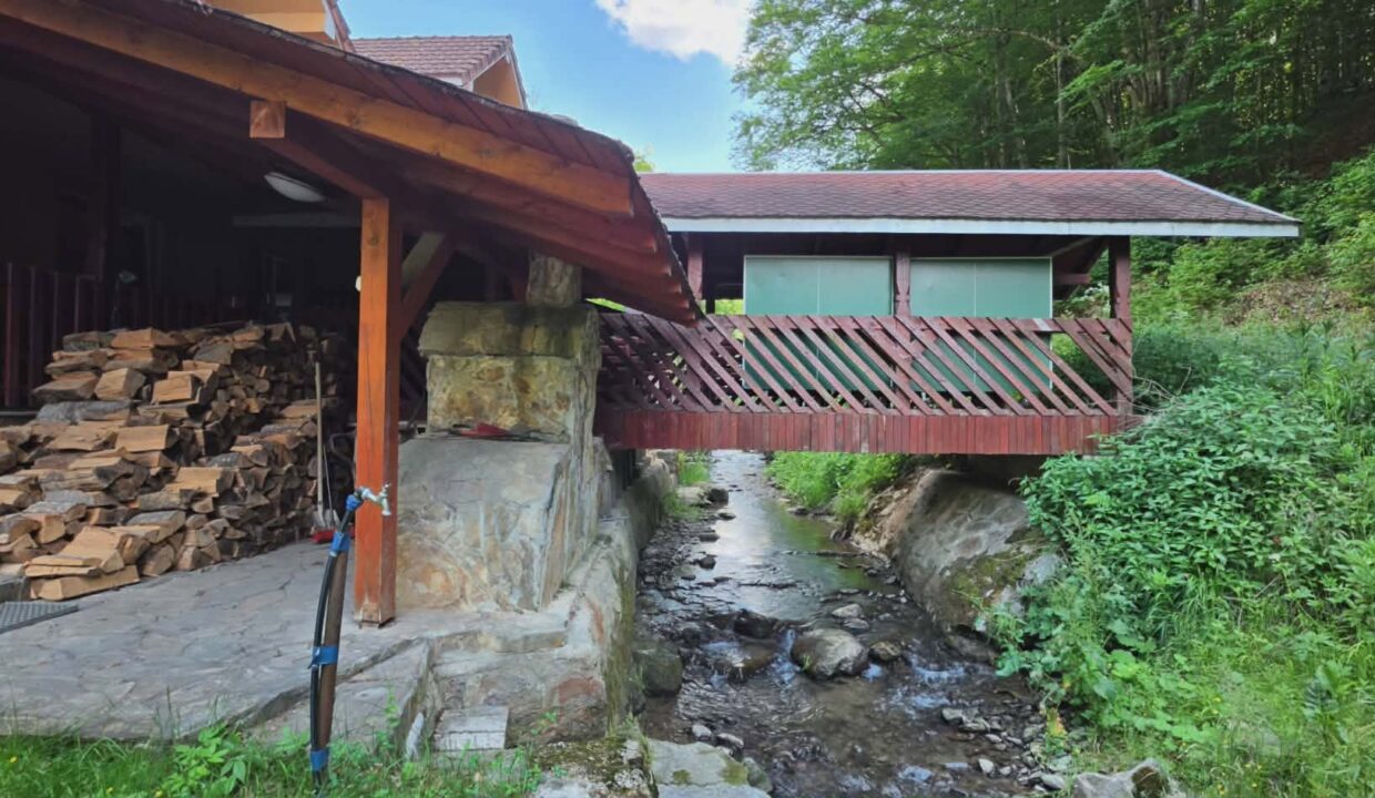 CV0524-Casa Pensiune, doua imobile intr-unul singur de vanzare, Valea Bratcutei, Bihor-03