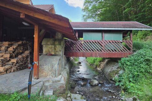 CV0524-Casa Pensiune, doua imobile intr-unul singur de vanzare, Valea Bratcutei, Bihor-03