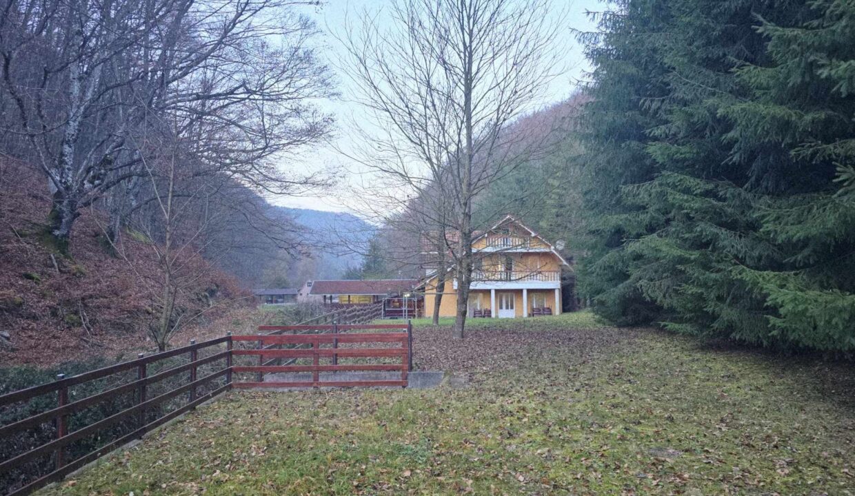 CV0524-Casa Pensiune, doua imobile intr-unul singur de vanzare, Valea Bratcutei, Bihor-16