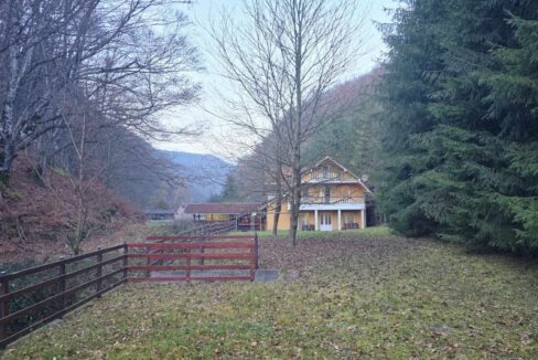 CV0524-Casa Pensiune, doua imobile intr-unul singur de vanzare, Valea Bratcutei, Bihor-16