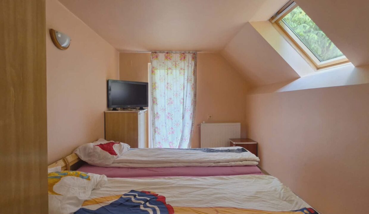 CV0524-Casa Pensiune, doua imobile intr-unul singur de vanzare, Valea Bratcutei, Bihor-18