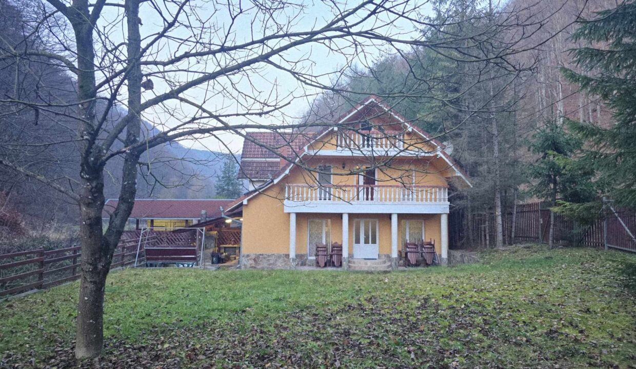 CV0524-Casa Pensiune, doua imobile intr-unul singur de vanzare, Valea Bratcutei, Bihor-19