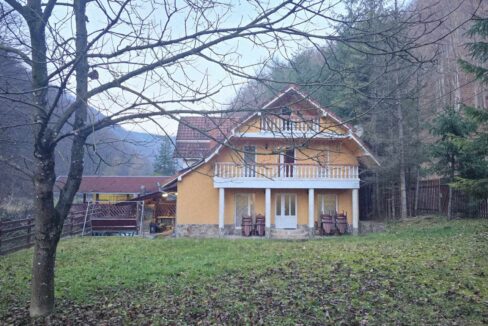 CV0524-Casa Pensiune, doua imobile intr-unul singur de vanzare, Valea Bratcutei, Bihor-19