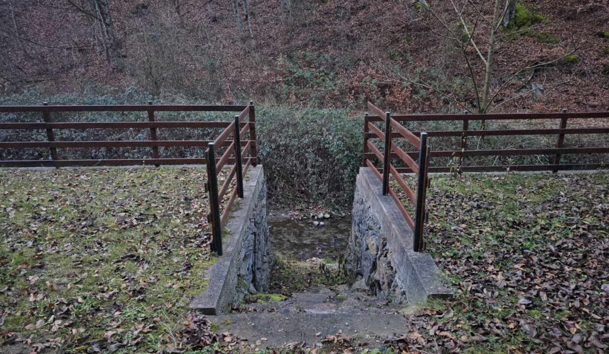 CV0524-Casa Pensiune, doua imobile intr-unul singur de vanzare, Valea Bratcutei, Bihor-20