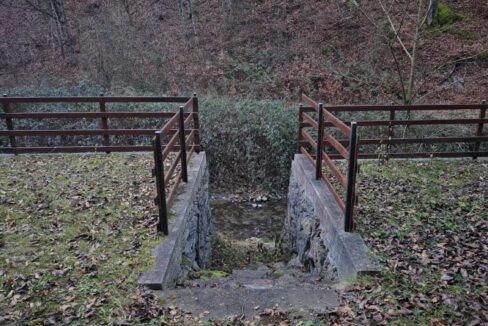 CV0524-Casa Pensiune, doua imobile intr-unul singur de vanzare, Valea Bratcutei, Bihor-20