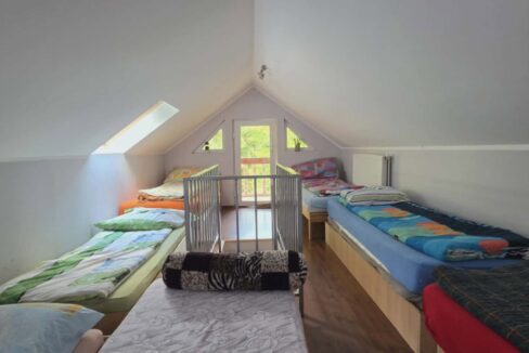 CV0524-Casa Pensiune, doua imobile intr-unul singur de vanzare, Valea Bratcutei, Bihor-21