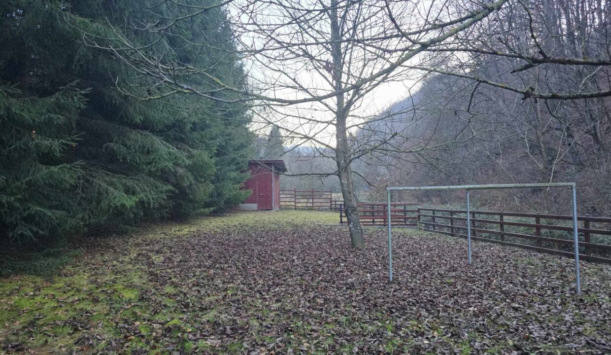 CV0524-Casa Pensiune, doua imobile intr-unul singur de vanzare, Valea Bratcutei, Bihor-21