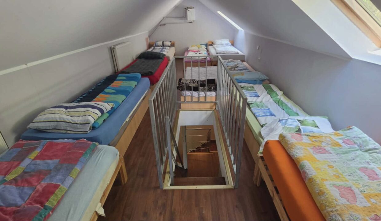 CV0524-Casa Pensiune, doua imobile intr-unul singur de vanzare, Valea Bratcutei, Bihor-23
