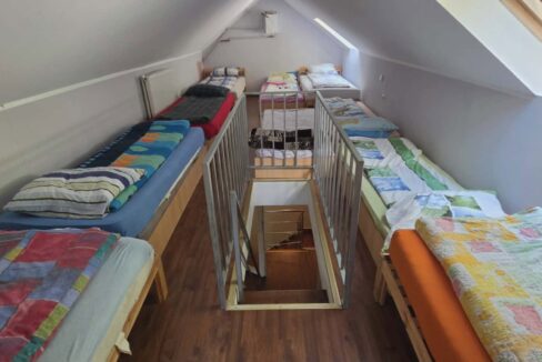CV0524-Casa Pensiune, doua imobile intr-unul singur de vanzare, Valea Bratcutei, Bihor-23