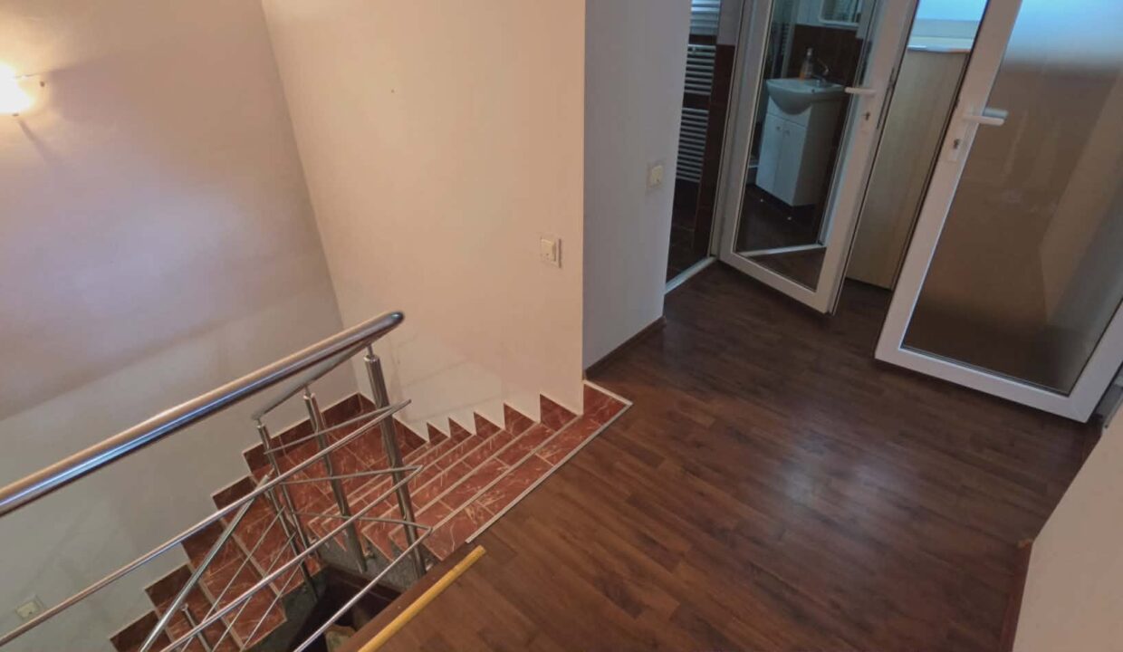 CV0524-Casa Pensiune, doua imobile intr-unul singur de vanzare, Valea Bratcutei, Bihor-26