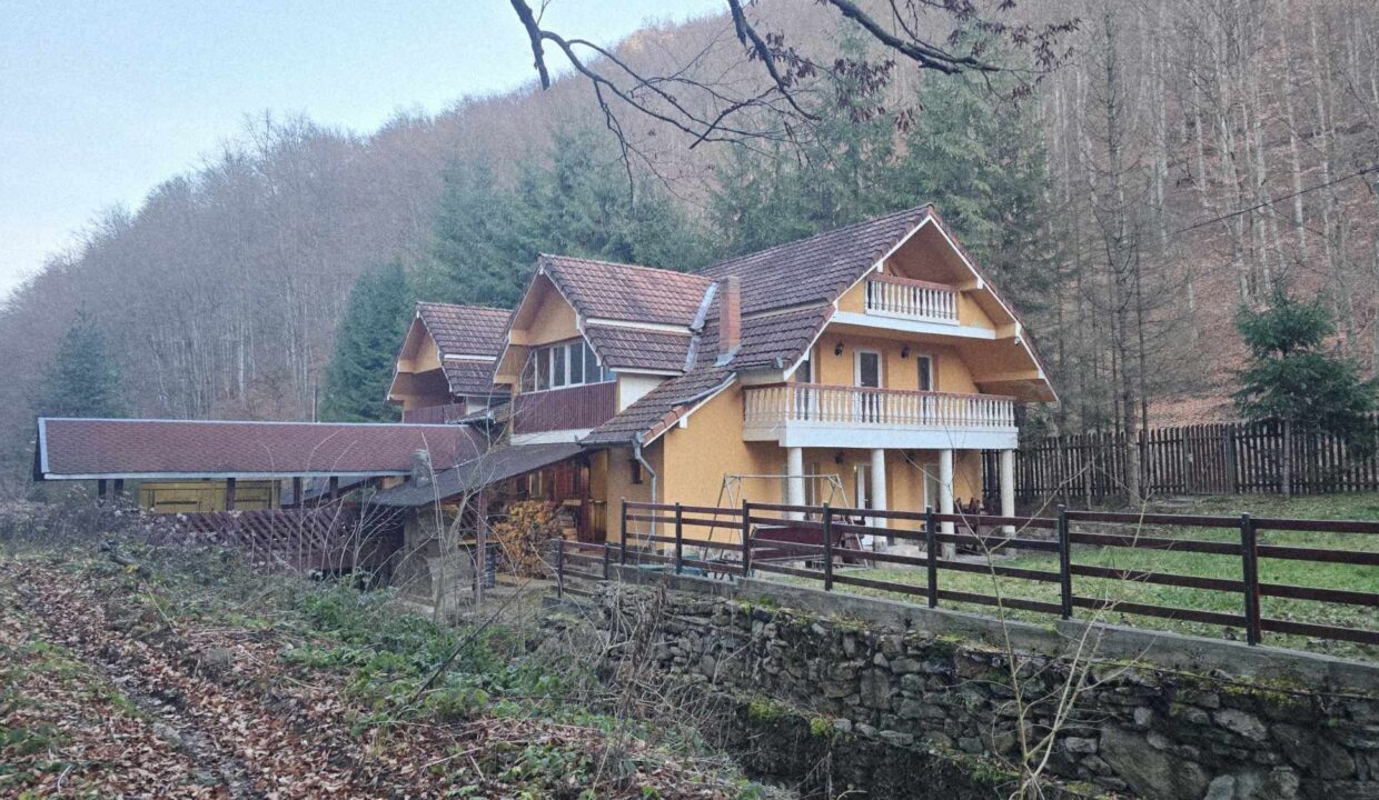 CV0524-Casa Pensiune, doua imobile intr-unul singur de vanzare, Valea Bratcutei, Bihor-26