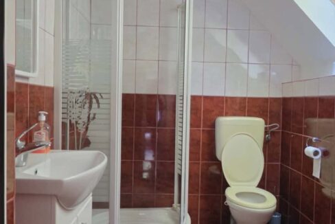CV0524-Casa Pensiune, doua imobile intr-unul singur de vanzare, Valea Bratcutei, Bihor-27