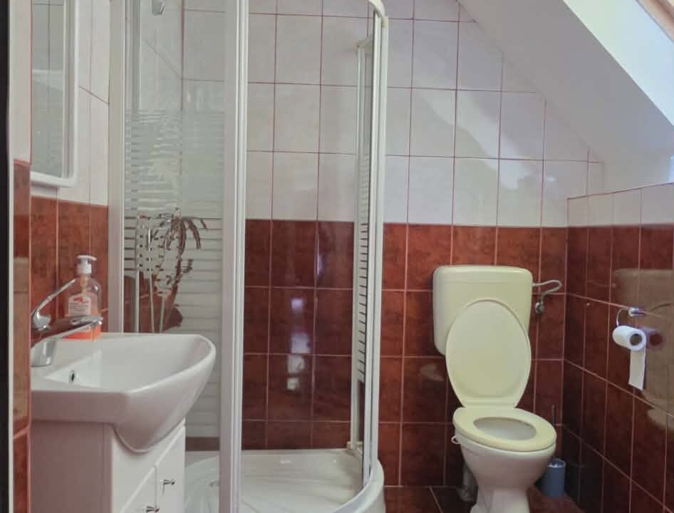 CV0524-Casa Pensiune, doua imobile intr-unul singur de vanzare, Valea Bratcutei, Bihor-27