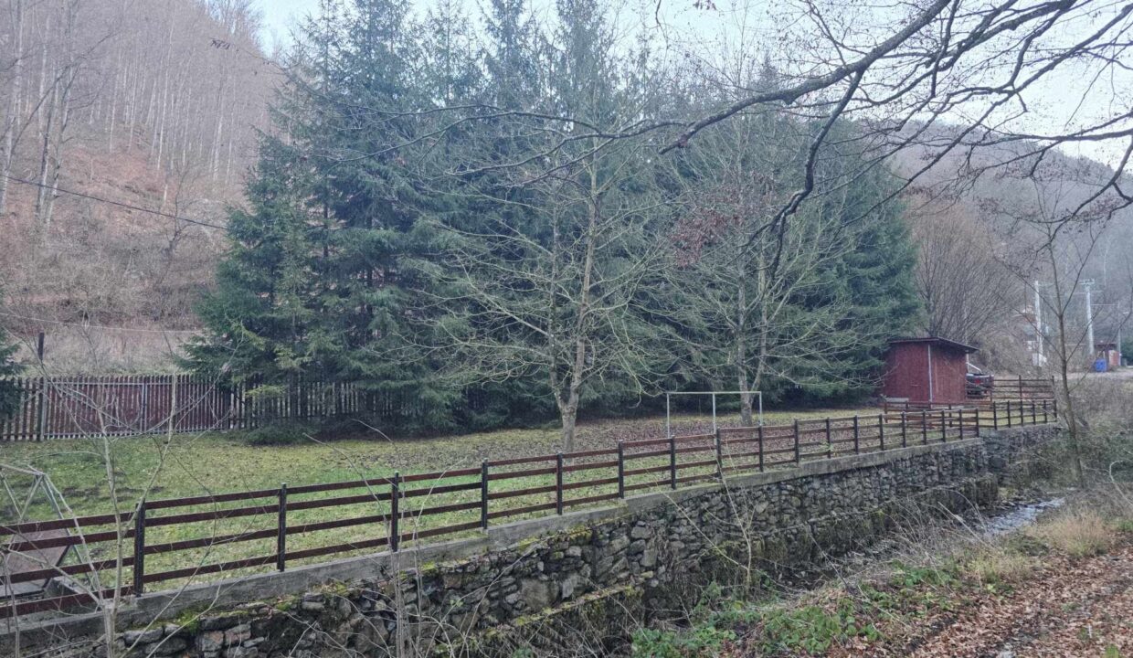 CV0524-Casa Pensiune, doua imobile intr-unul singur de vanzare, Valea Bratcutei, Bihor-27