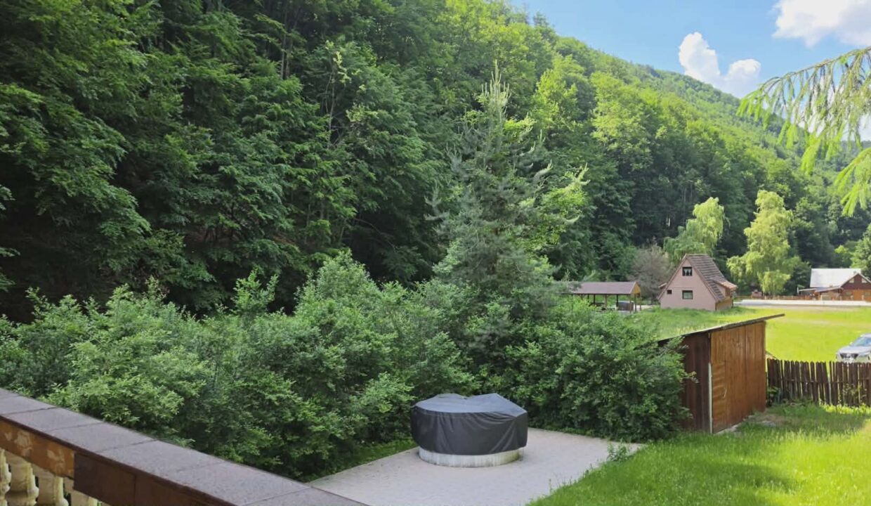 CV0524-Casa Pensiune, doua imobile intr-unul singur de vanzare, Valea Bratcutei, Bihor-31