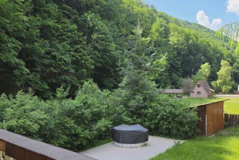 CV0524-Casa Pensiune, doua imobile intr-unul singur de vanzare, Valea Bratcutei, Bihor-31