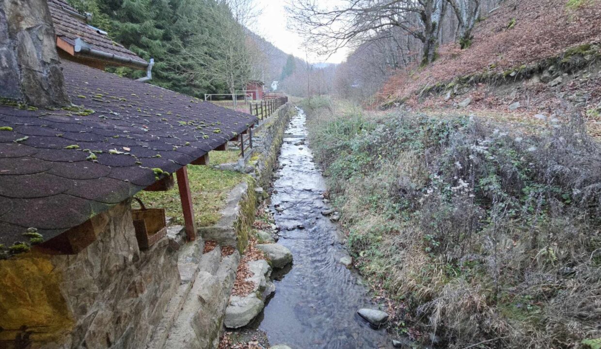 CV0524-Casa Pensiune, doua imobile intr-unul singur de vanzare, Valea Bratcutei, Bihor-31