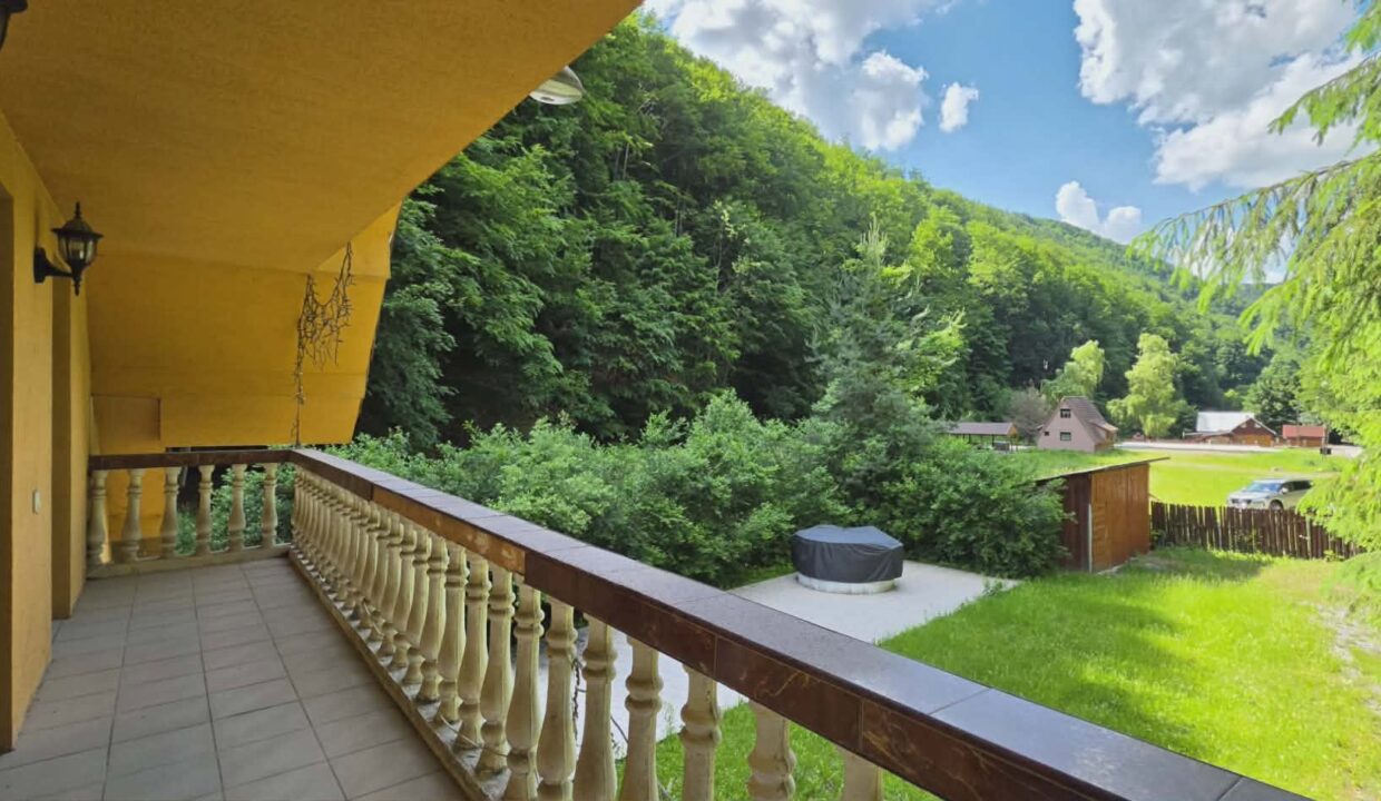 CV0524-Casa Pensiune, doua imobile intr-unul singur de vanzare, Valea Bratcutei, Bihor-32