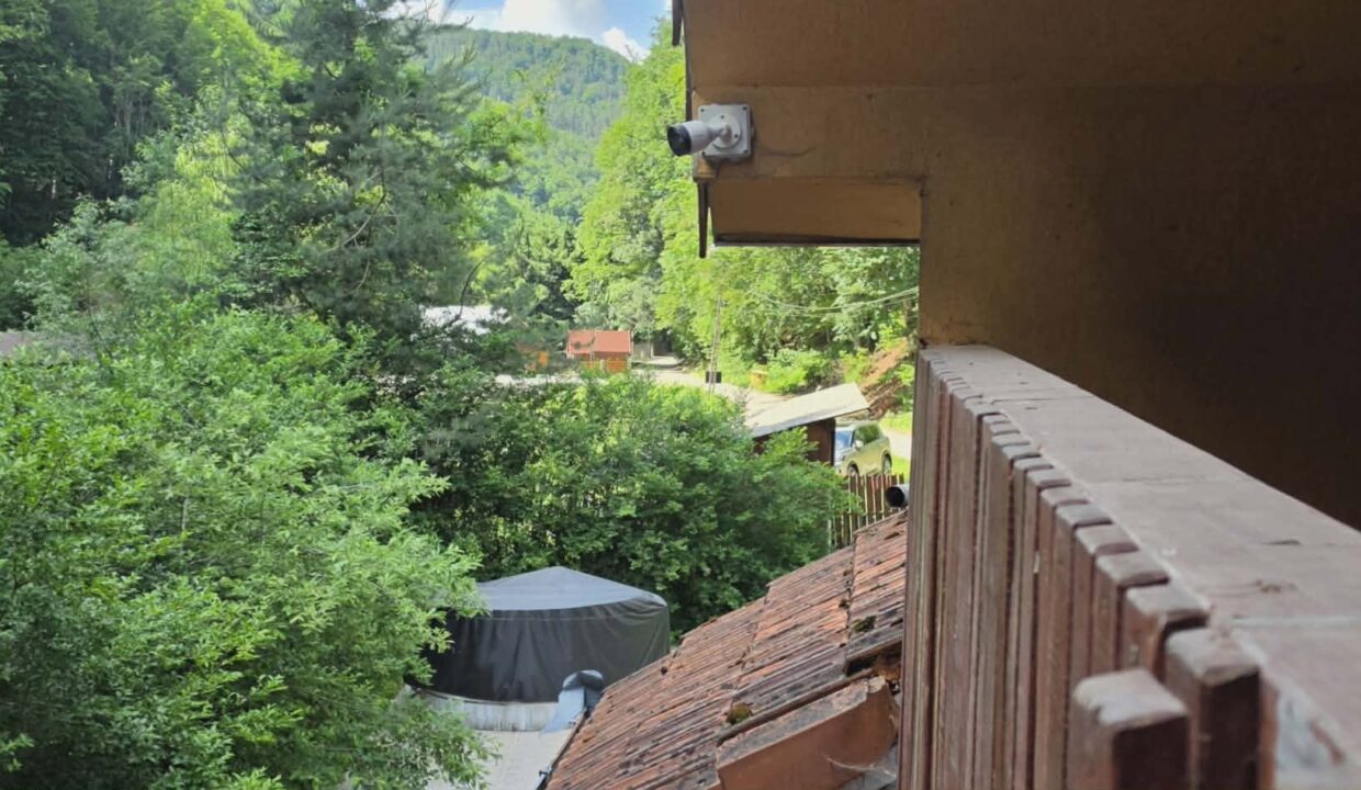 CV0524-Casa Pensiune, doua imobile intr-unul singur de vanzare, Valea Bratcutei, Bihor-33