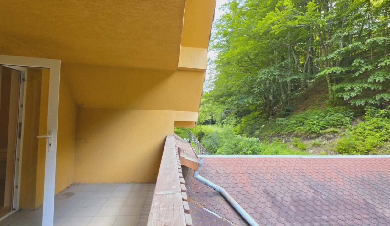 CV0524-Casa Pensiune, doua imobile intr-unul singur de vanzare, Valea Bratcutei, Bihor-36