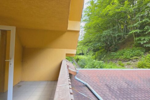 CV0524-Casa Pensiune, doua imobile intr-unul singur de vanzare, Valea Bratcutei, Bihor-36