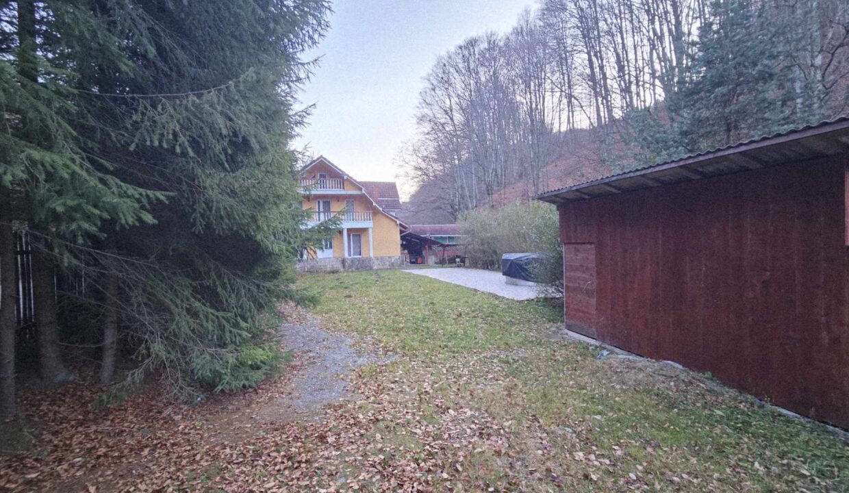 CV0524-Casa Pensiune, doua imobile intr-unul singur de vanzare, Valea Bratcutei, Bihor-37