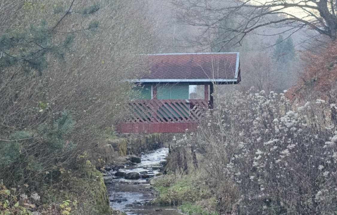 CV0524-Casa Pensiune, doua imobile intr-unul singur de vanzare, Valea Bratcutei, Bihor-41