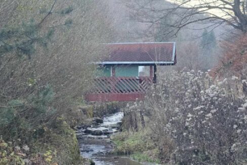 CV0524-Casa Pensiune, doua imobile intr-unul singur de vanzare, Valea Bratcutei, Bihor-41