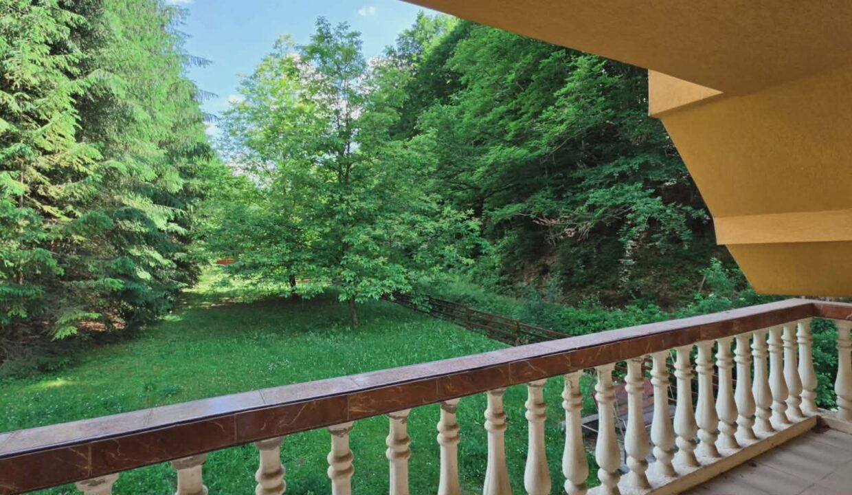 CV0524-Casa Pensiune, doua imobile intr-unul singur de vanzare, Valea Bratcutei, Bihor-42