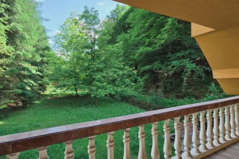 CV0524-Casa Pensiune, doua imobile intr-unul singur de vanzare, Valea Bratcutei, Bihor-42