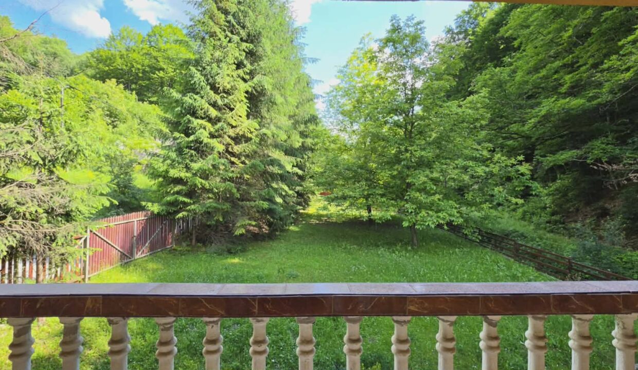 CV0524-Casa Pensiune, doua imobile intr-unul singur de vanzare, Valea Bratcutei, Bihor-43