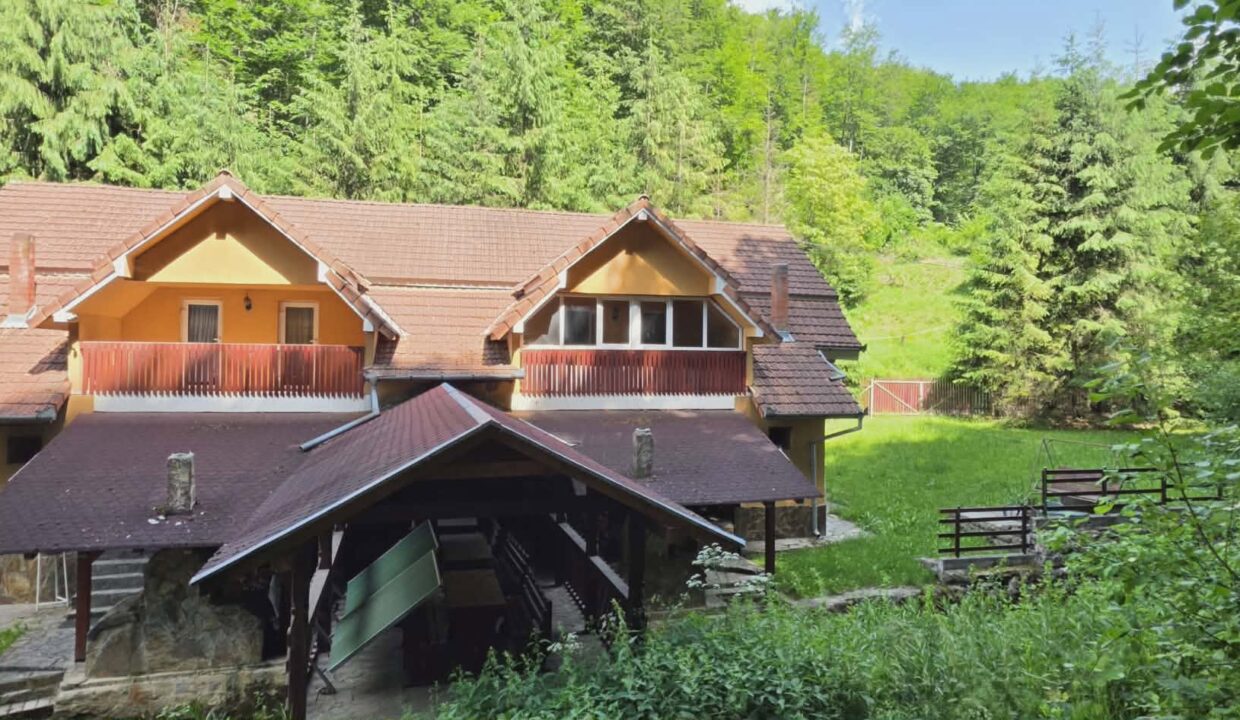 CV0524-Casa Pensiune, doua imobile intr-unul singur de vanzare, Valea Bratcutei, Bihor-45