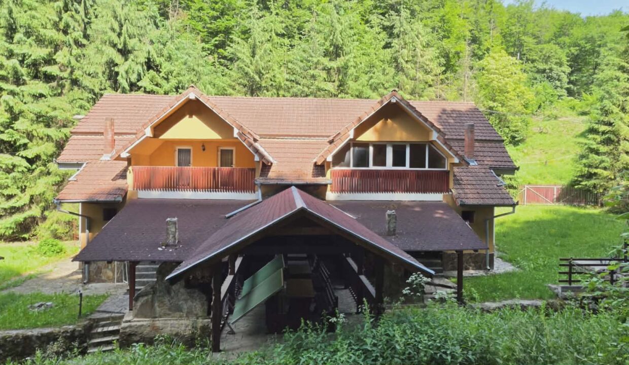 CV0524-Casa Pensiune, doua imobile intr-unul singur de vanzare, Valea Bratcutei, Bihor-47