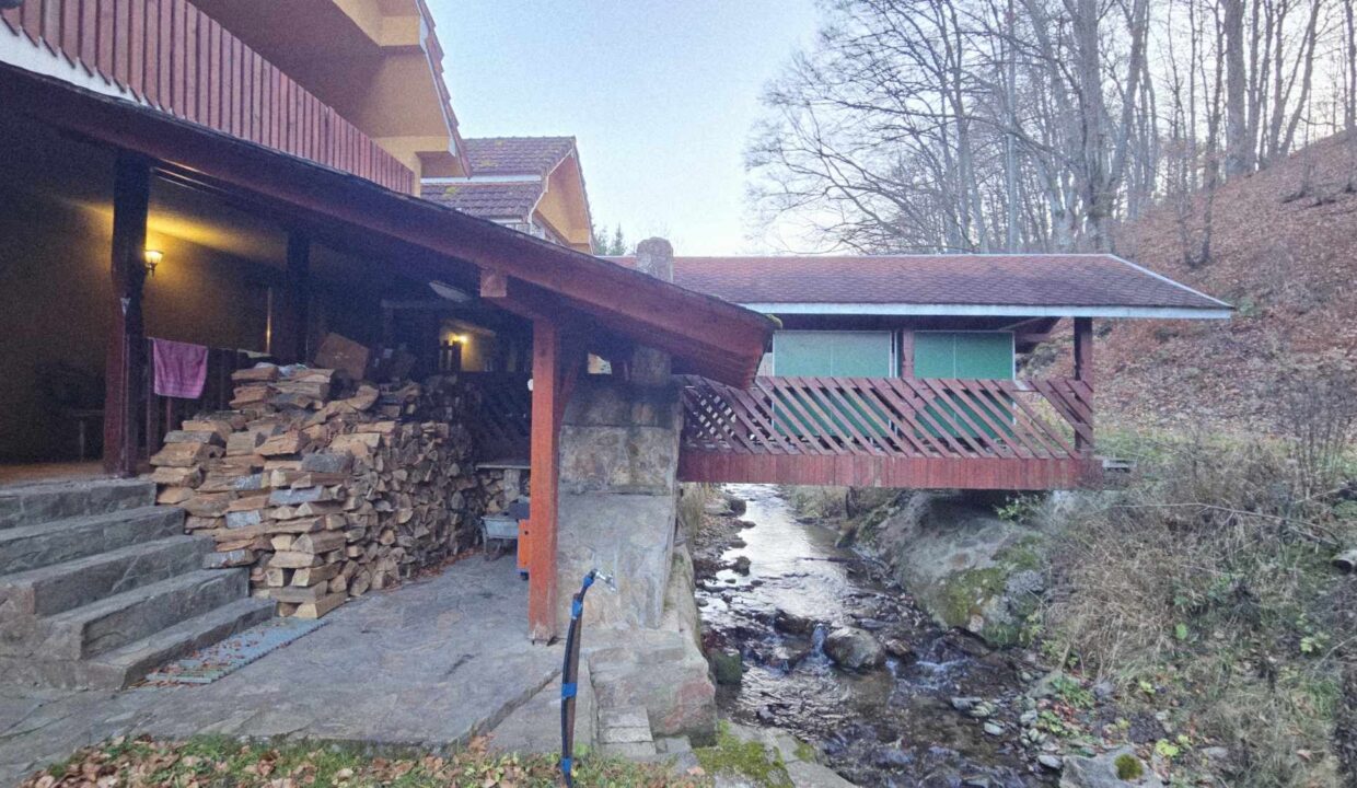 CV0524-Casa Pensiune, doua imobile intr-unul singur de vanzare, Valea Bratcutei, Bihor-47