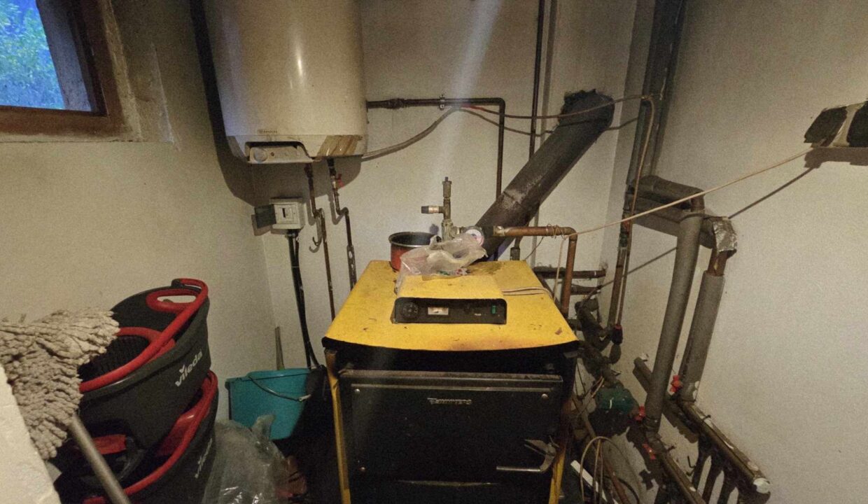 CV0524-Casa Pensiune, doua imobile intr-unul singur de vanzare, Valea Bratcutei, Bihor-49