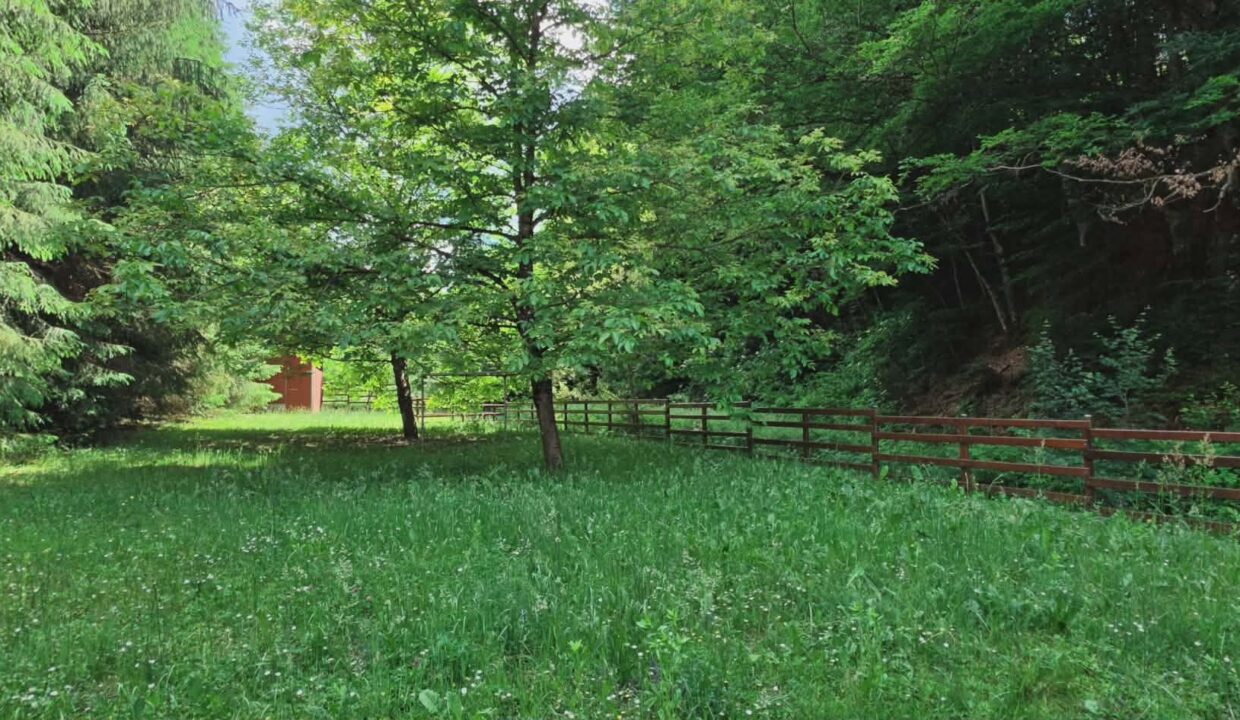 CV0524-Casa Pensiune, doua imobile intr-unul singur de vanzare, Valea Bratcutei, Bihor-53