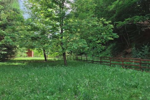 CV0524-Casa Pensiune, doua imobile intr-unul singur de vanzare, Valea Bratcutei, Bihor-53