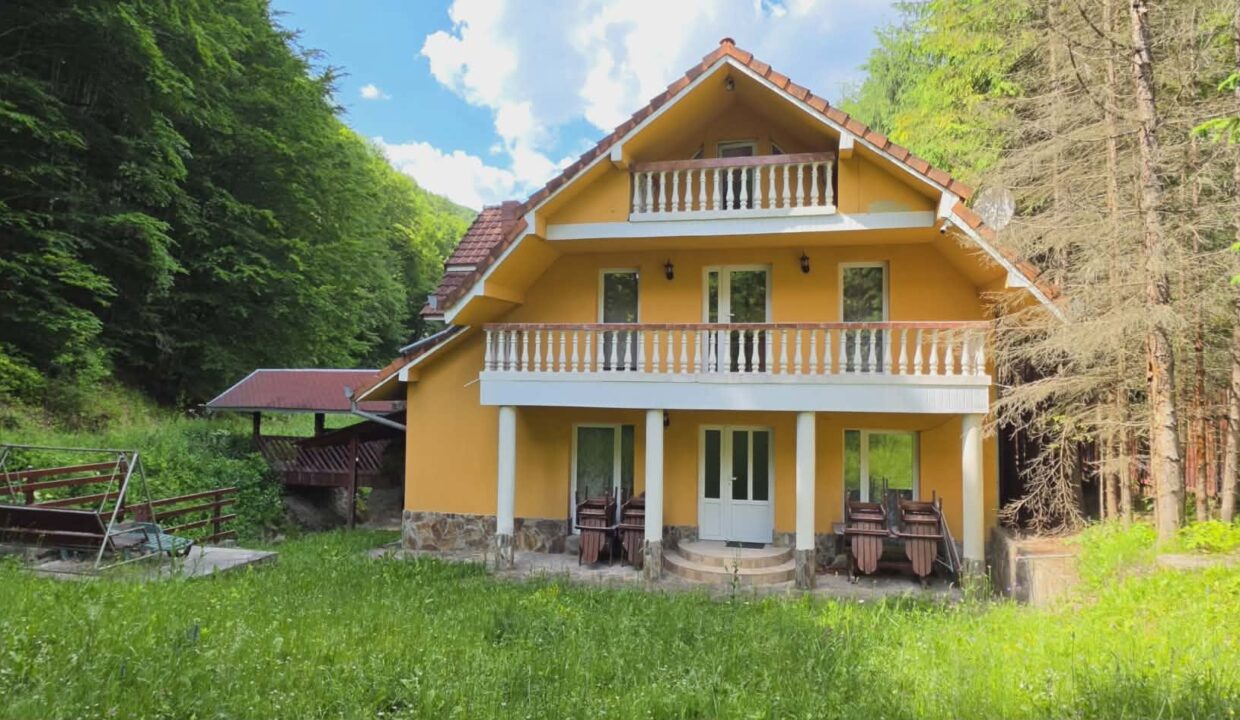 CV0524-Casa Pensiune, doua imobile intr-unul singur de vanzare, Valea Bratcutei, Bihor-54