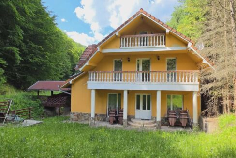 CV0524-Casa Pensiune, doua imobile intr-unul singur de vanzare, Valea Bratcutei, Bihor-54